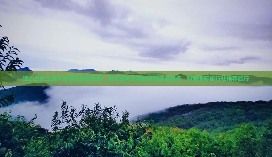 凉山出发三亚千古情自由团