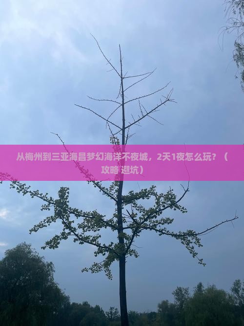 梅州前往三亚海昌梦幻海洋不夜城个人游