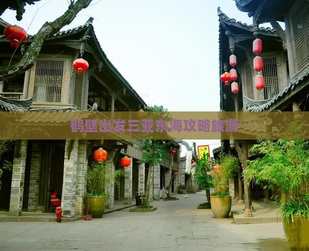 鹤壁出发三亚小东海旅行社
