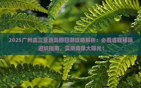 广州去三亚西岛四日游