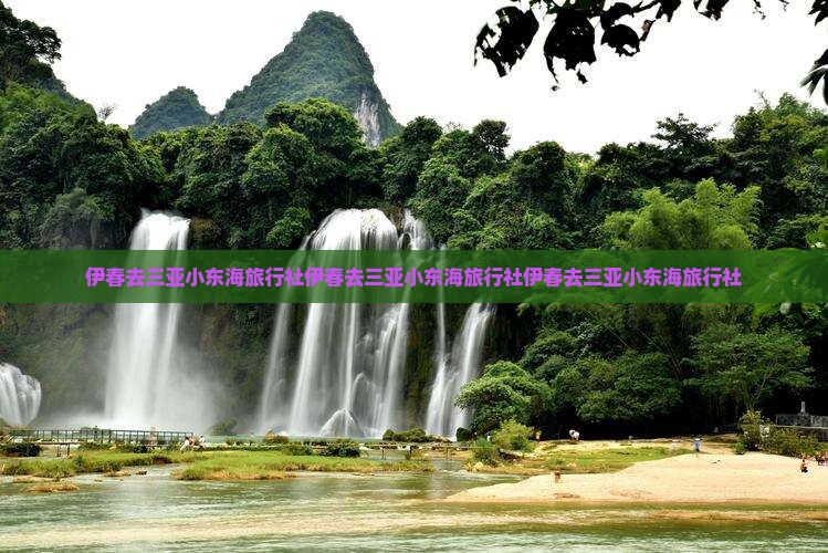 伊春去三亚小东海旅行社