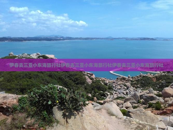 伊春去三亚小东海旅行社