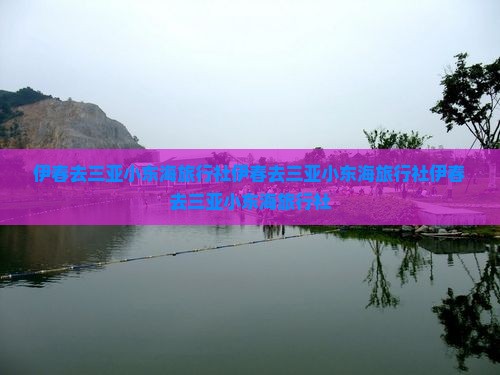 伊春去三亚小东海旅行社