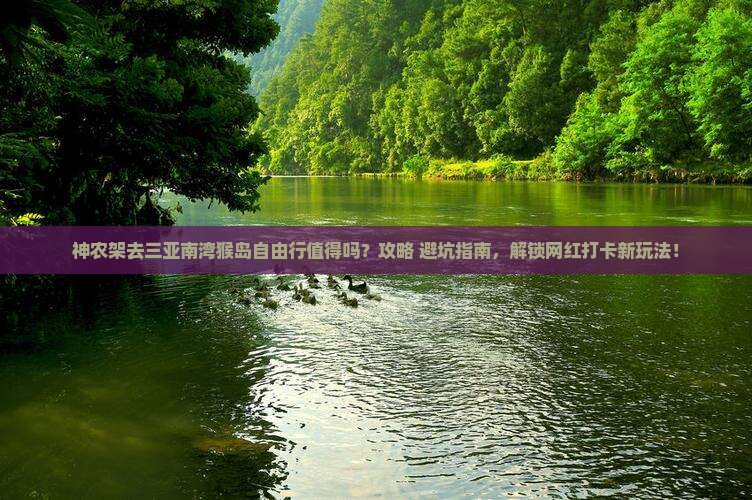 神农架前往三亚南湾猴岛自由行