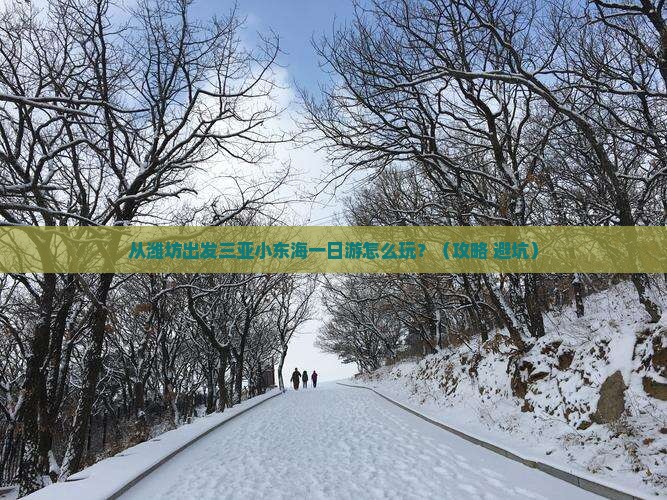 潍坊出发三亚小东海一日游