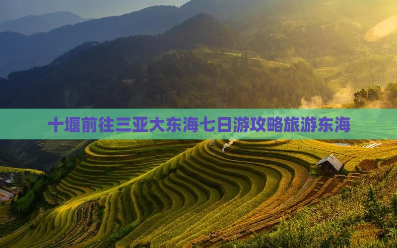 十堰前往三亚大东海七日游