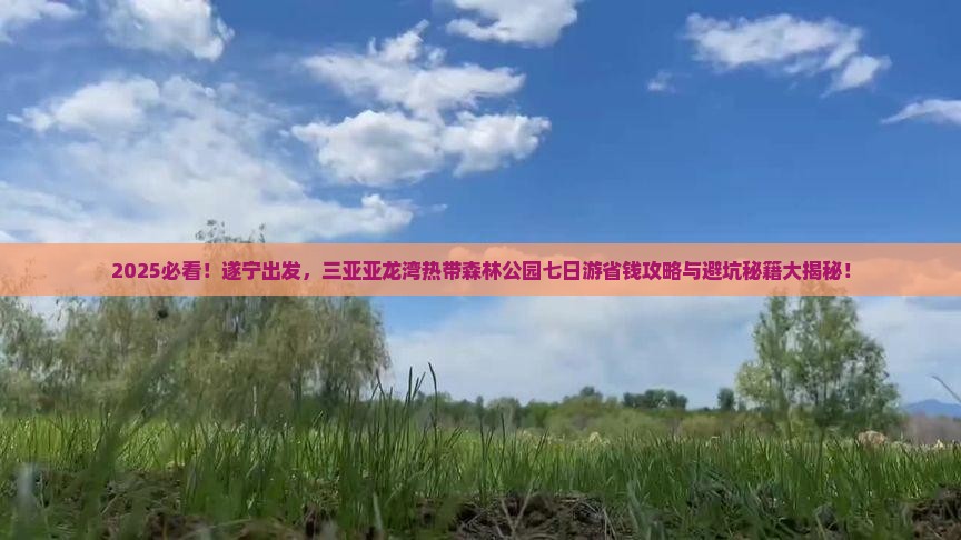 遂宁前往三亚亚龙湾热带森林公园七日游