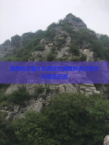 惠州去三亚大东海五日游