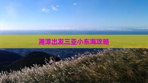 湘潭出发三亚小东海旅行社