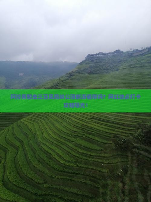 阿拉善盟去三亚凤凰岭公园旅游网红地点