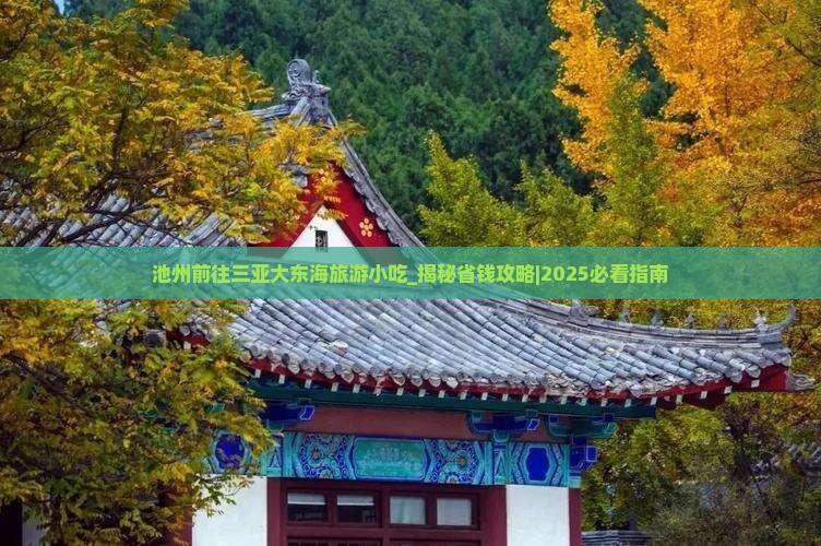 池州前往三亚大东海旅游小吃