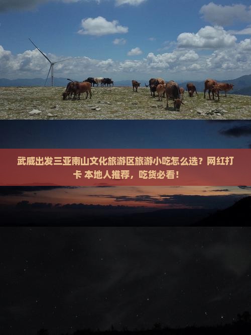 武威出发三亚南山文化旅游区旅游小吃