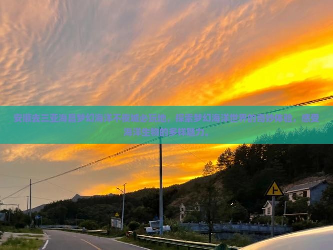 安顺去三亚海昌梦幻海洋不夜城必玩地