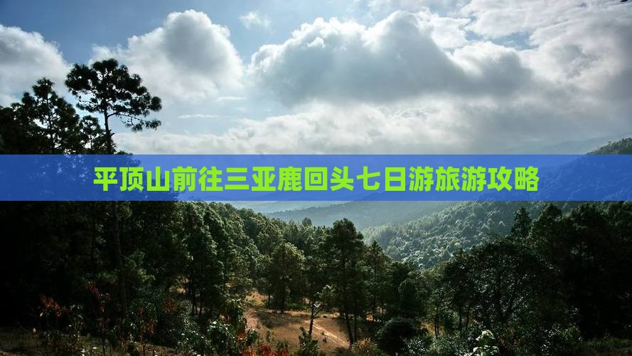 平顶山前往三亚鹿回头七日游