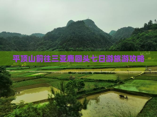 平顶山前往三亚鹿回头七日游