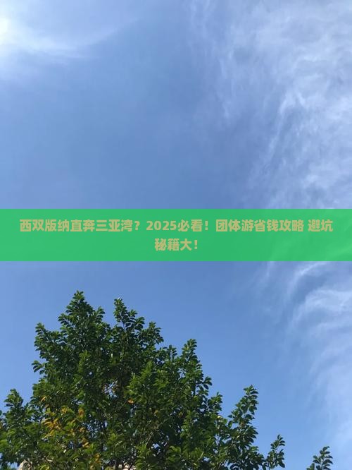 西双版纳前往三亚三亚湾团体旅游