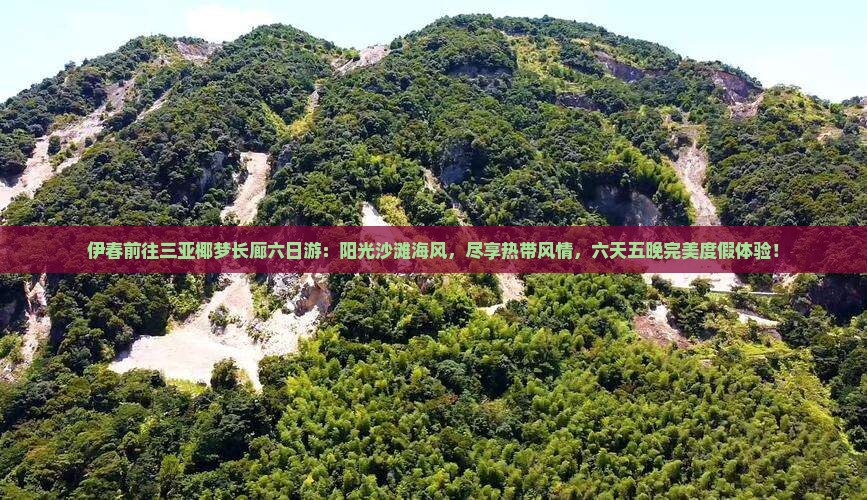伊春前往三亚椰梦长廊六日游