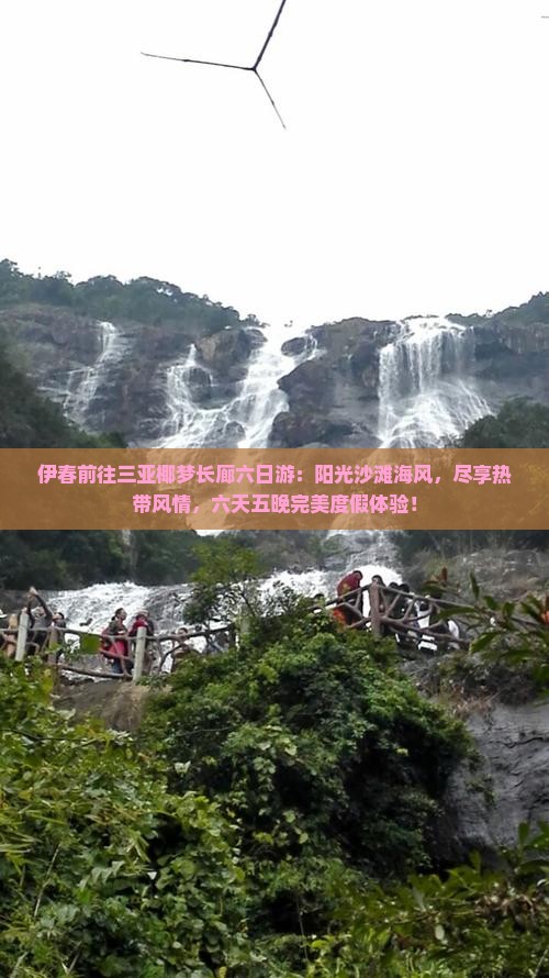 伊春前往三亚椰梦长廊六日游