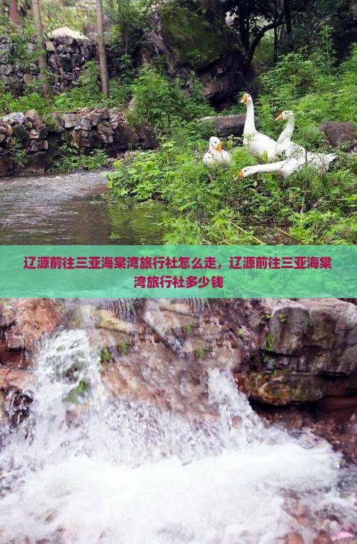 辽源前往三亚海棠湾旅行社