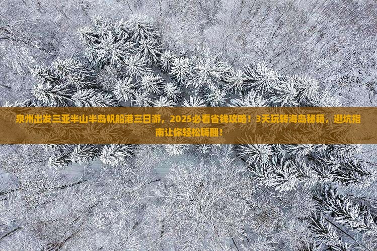 泉州出发三亚半山半岛帆船港三日游
