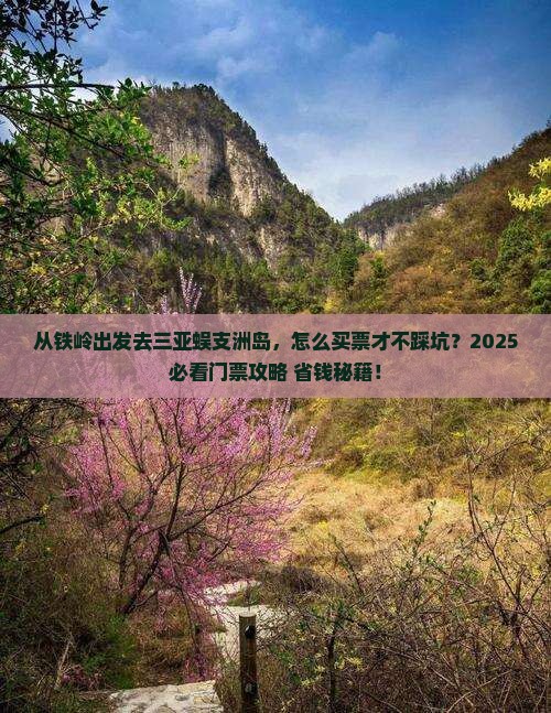 铁岭出发三亚蜈支洲岛门票