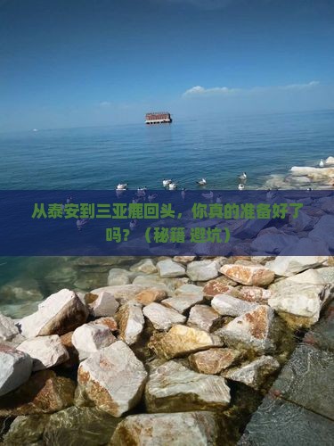 泰安去三亚鹿回头自由行 泰安去三亚鹿回头自由行