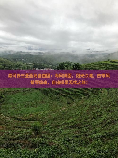 漯河去三亚西岛自由团