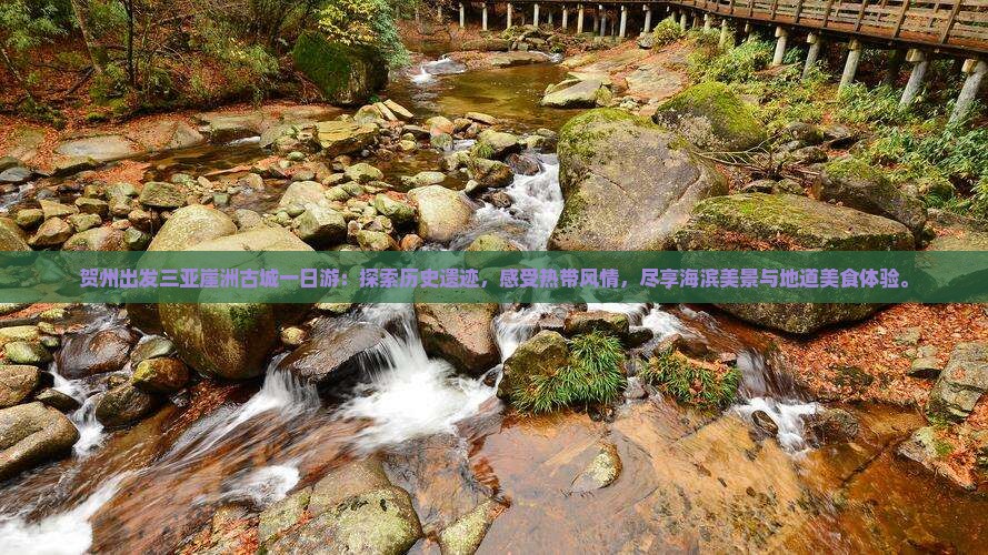 贺州出发三亚崖洲古城一日游