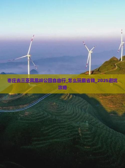 枣庄去三亚凤凰岭公园自由行 枣庄去三亚凤凰岭公园自由行