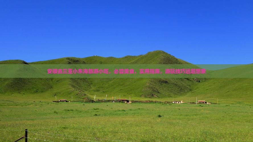 安顺去三亚小东海旅游小吃
