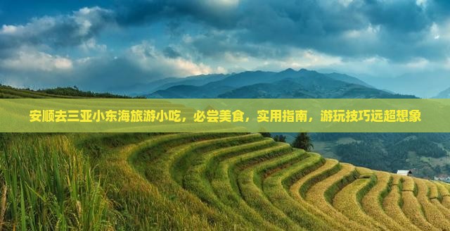 安顺去三亚小东海旅游小吃