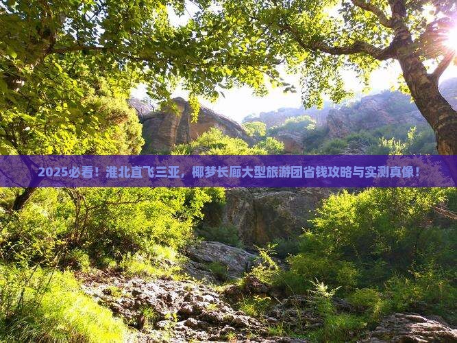 淮北去三亚椰梦长廊大型旅游团