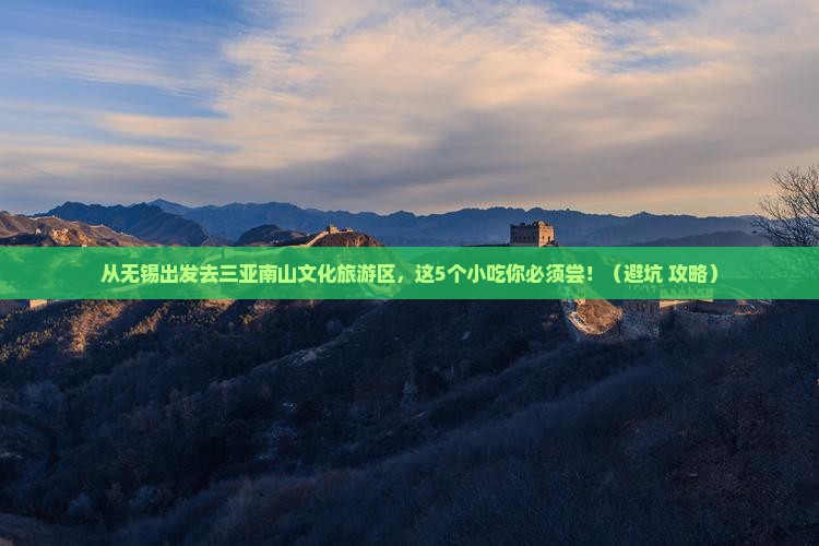 无锡去三亚南山文化旅游区旅游小吃