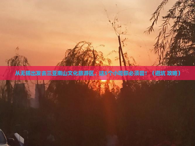 无锡去三亚南山文化旅游区旅游小吃