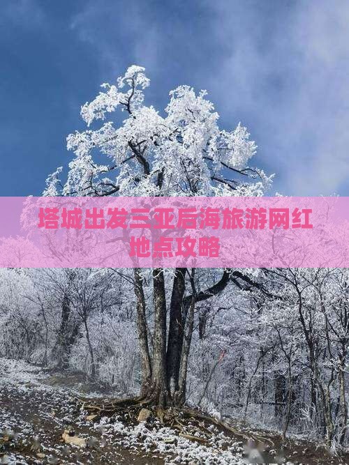 塔城出发三亚后海旅游网红地点