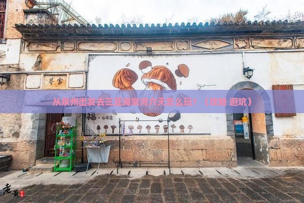 泉州前往三亚海棠湾六日游