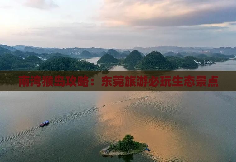 东莞去三亚南湾猴岛必玩地