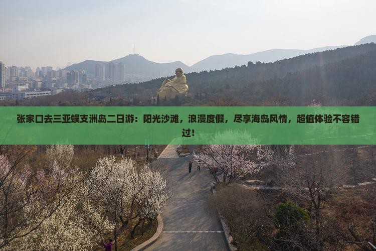 张家口去三亚蜈支洲岛二日游