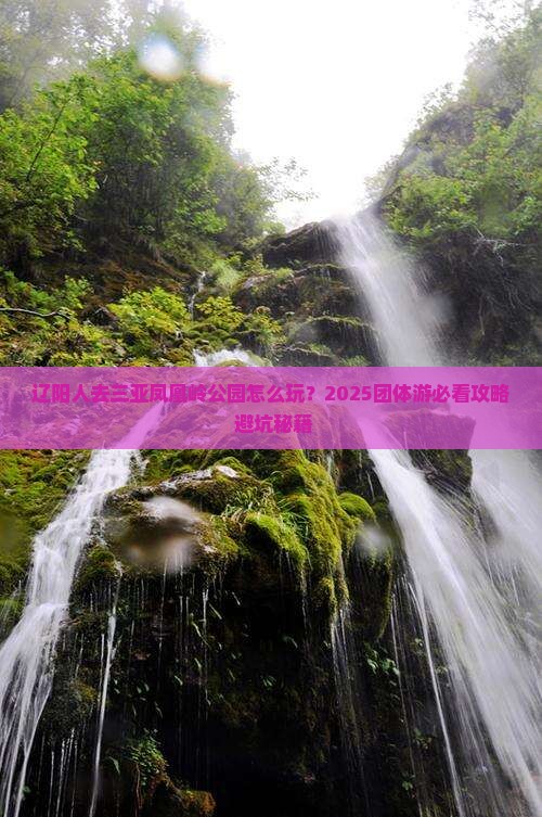 辽阳去三亚凤凰岭公园团体旅游