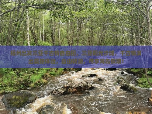 福州出发三亚千古情自由团