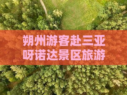 朔州游客赴三亚呀诺达景区旅游攻略大全