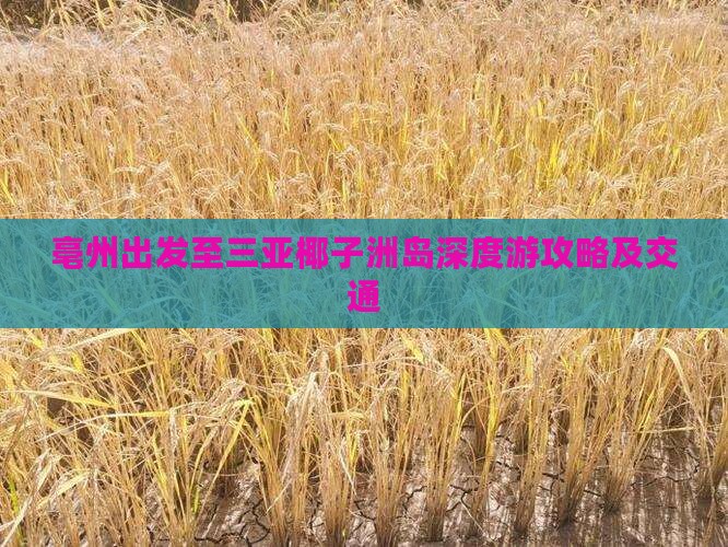 亳州出发至三亚椰子洲岛深度游攻略及交通