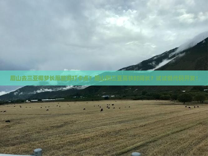 眉山去三亚椰梦长廊旅游打卡点