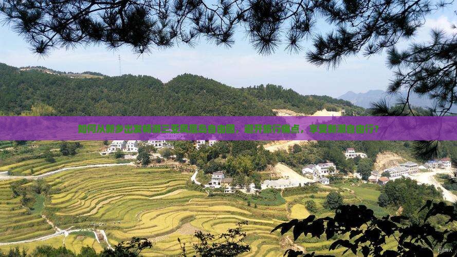 新乡出发三亚凤凰岛自由团