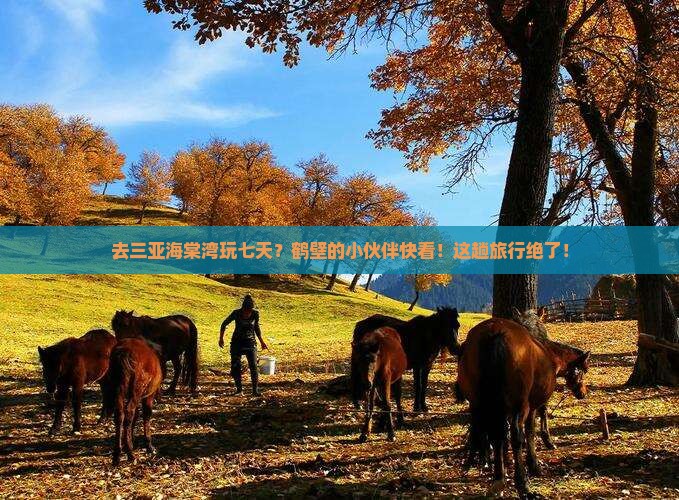 鹤壁前往三亚海棠湾七日游