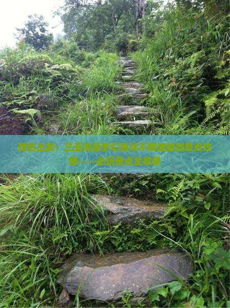 茂名出发三亚海昌梦幻海洋不夜城必玩地