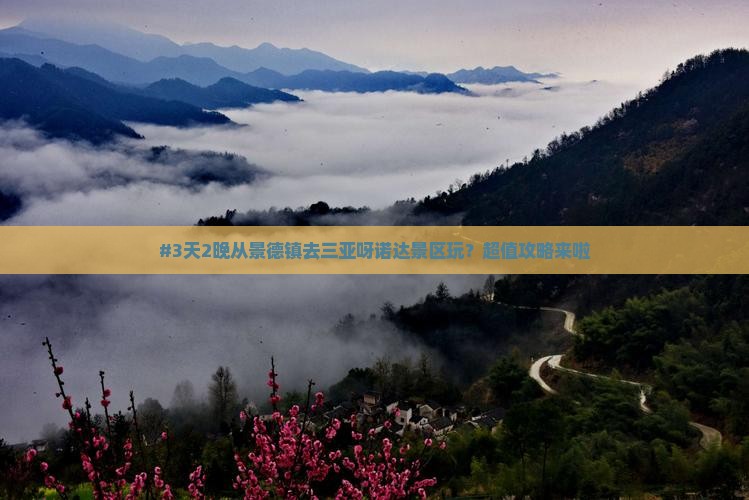 景德镇前往三亚呀诺达景区旅游