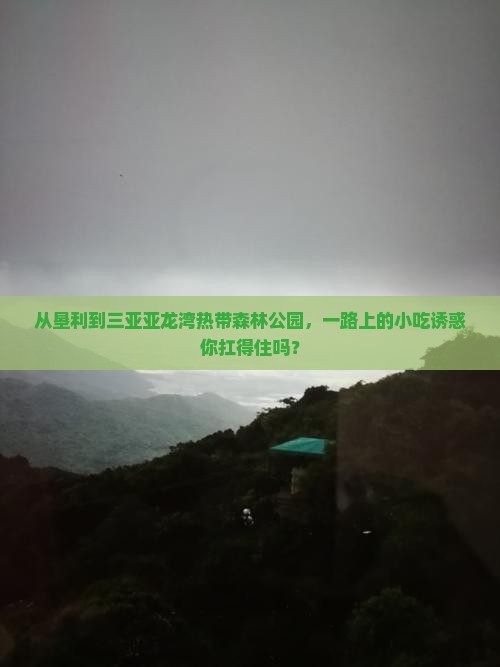 垦利出发三亚亚龙湾热带森林公园旅游小吃