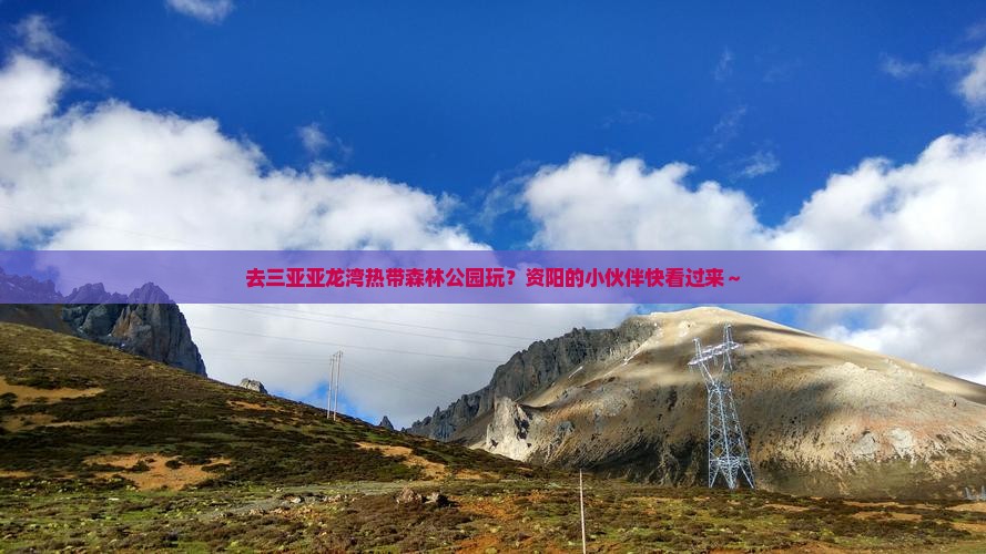 资阳前往三亚亚龙湾热带森林公园旅游 资阳前往三亚亚龙湾热带森林公园旅游