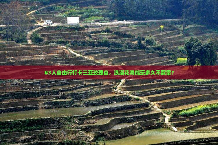 垦利去三亚亚龙湾国际玫瑰谷自由团